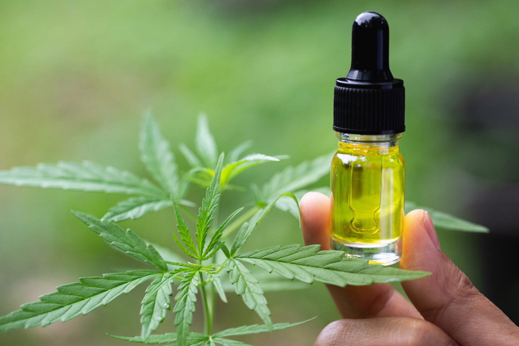 Important Things to Know When Buying CBD Products